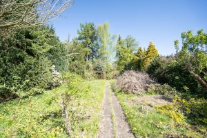 Einfamilienhaus-Baugrundstück direkt am Niendorfer Gehege-02