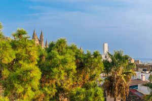 apartment-palma-dachterrasse-moebliert-1