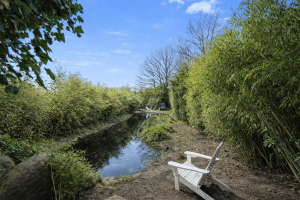 Naturteich im Garten mit ruhiger Atmosphäre