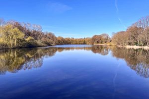 kapitalanlage-hamburg-farmsen-terrasse-01