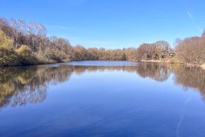 kapitalanlage-hamburg-farmsen-terrasse-07