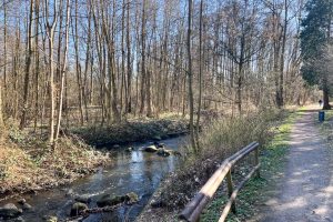kapitalanlage-hamburg-farmsen-terrasse-09