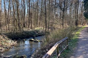 kapitalanlage-hamburg-farmsen-terrasse-10