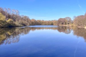 kapitalanlage-wohnung-hamburg-farmsen-vermietet-05