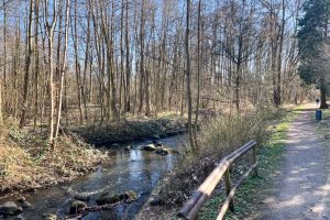 kapitalanlage-wohnung-hamburg-farmsen-vermietet-07